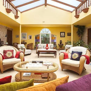 book here